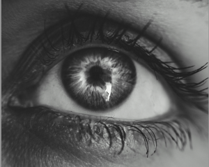 Module sommaire : Notions fondamentales en atrophie géographique